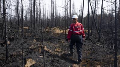 Letters: The key to stopping massive wildfires is reducing global warming, not thinning forests