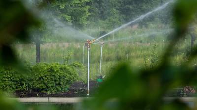What’s the best way to irrigate new plants?